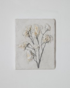 http://www.sinaelee.co.kr/files/gimgs/th-10_03.jpg
