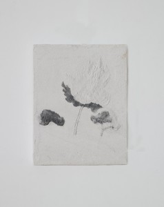 http://www.sinaelee.co.kr/files/gimgs/th-10_05.jpg