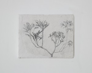 http://www.sinaelee.co.kr/files/gimgs/th-10_10.jpg