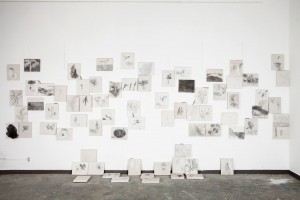 http://www.sinaelee.co.kr/files/gimgs/th-10_display.jpg